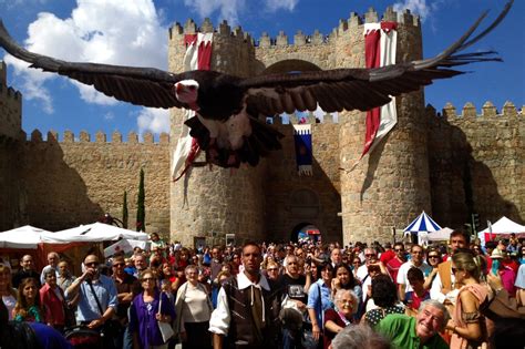 medievales avila 2022|XXV Jornadas Medievales de Ávila «Mercado de las。